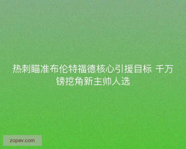热刺瞄准布伦特福德核心引援目标 千万镑挖角新主帅人选