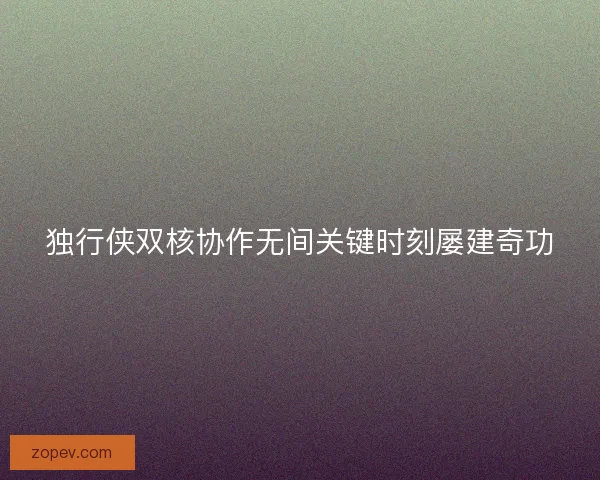 独行侠双核协作无间关键时刻屡建奇功