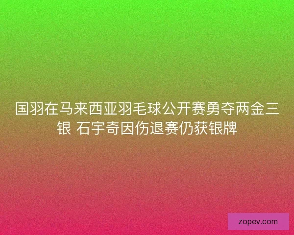 国羽在马来西亚羽毛球公开赛勇夺两金三银 石宇奇因伤退赛仍获银牌